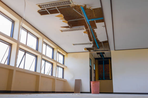Best Basement water damage restoration  in La Cienega, NM