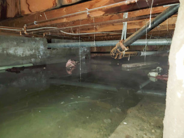 Best Ceiling water damage repair  in La Cienega, NM