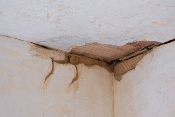 Best Water damage restoration insurance claims  in La Cienega, NM