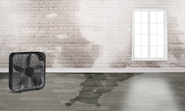 La Cienega, NM Water damage restoration Company