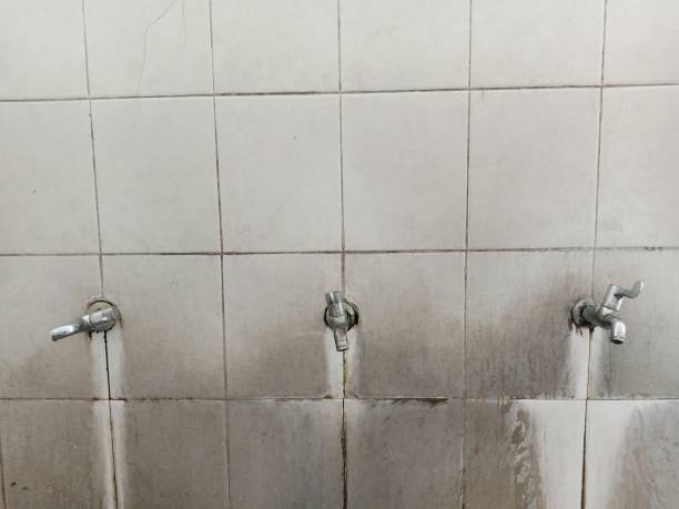 Best Flooded house restoration  in La Cienega, NM