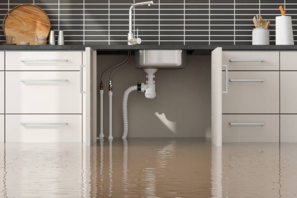 Best Water damage restoration near me  in La Cienega, NM