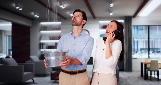 Best 24/7 water damage repair  in La Cienega, NM